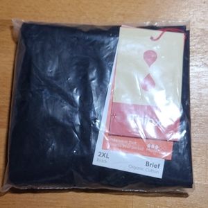 Thinx Cotton Brief